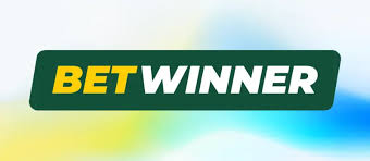 BetWinner Casino Platform Your Ultimate Gaming Destination