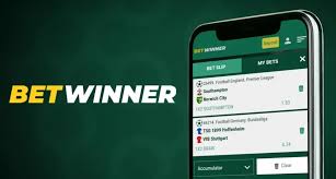 Explore the Exciting World of BetWinner Online Casino
