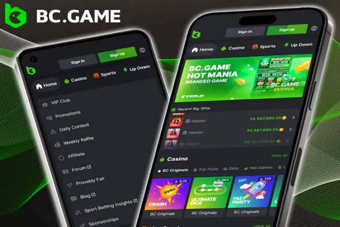 Menelusuri Platform Permainan Resmi BC GAME