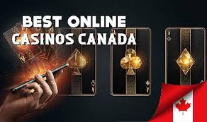 Top 10 Online Casinos A Comprehensive Guide -367886198
