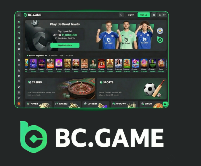 Understanding the BC.Game Mirror Login Process -297264307